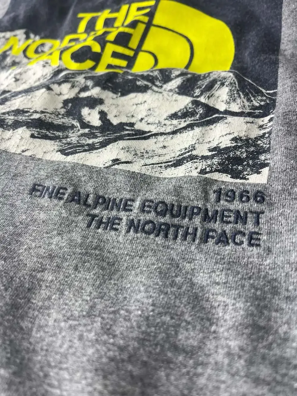 The North Face north face